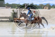 ref. photo 3573140