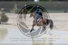 ref. photo 3573141