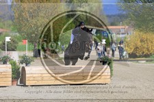 ref. photo 3573181