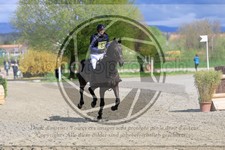 ref. photo 3573182