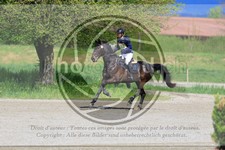ref. photo 3573185