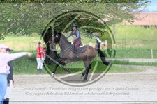 ref. photo 3573202