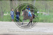 ref. photo 3573311