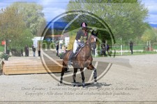 ref. photo 3573337