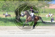ref. photo 3573341