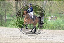 ref. photo 3573364