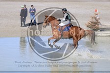 ref. photo 3573438
