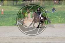 ref. photo 3573451