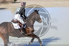 ref. photo 3573463