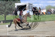 ref. photo 3573530