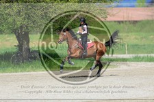 ref. photo 3573551