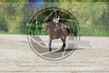 ref. photo 3573552