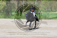 ref. photo 3573602