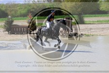 ref. photo 3573610