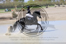 ref. photo 3573612