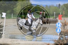 ref. photo 3573708