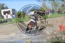 ref. photo 3573730