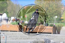 ref. photo 3573820