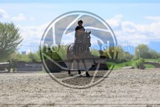 ref. photo 3573881