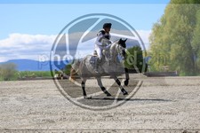 ref. photo 3573935