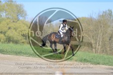 ref. photo 3573958