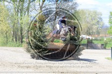 ref. photo 3573965