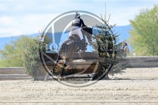 ref. photo 3573974