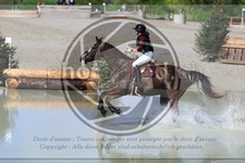 ref. photo 3574021