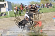ref. photo 3574044