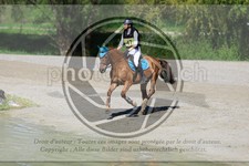 ref. photo 3574056