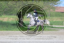 ref. photo 3574071
