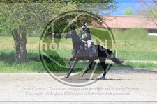 ref. photo 3574090