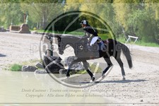 ref. photo 3574094