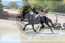 ref. photo 3574095