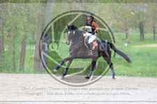 ref. photo 3574112