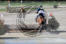 ref. photo 3574140