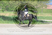ref. photo 3574175