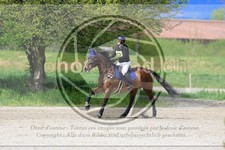 ref. photo 3574290