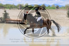 ref. photo 3574294