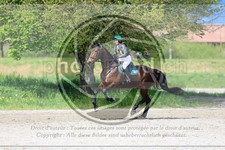 ref. photo 3574346