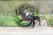 ref. photo 3574348