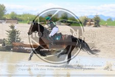 ref. photo 3574352