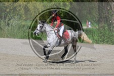 ref. photo 3574458