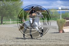 ref. photo 3574583