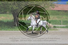 ref. photo 3574587