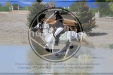 ref. photo 3574592