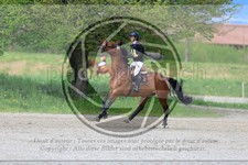 ref. photo 3574609