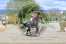 ref. photo 3574626
