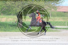 ref. photo 3574853
