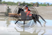 ref. photo 3574860